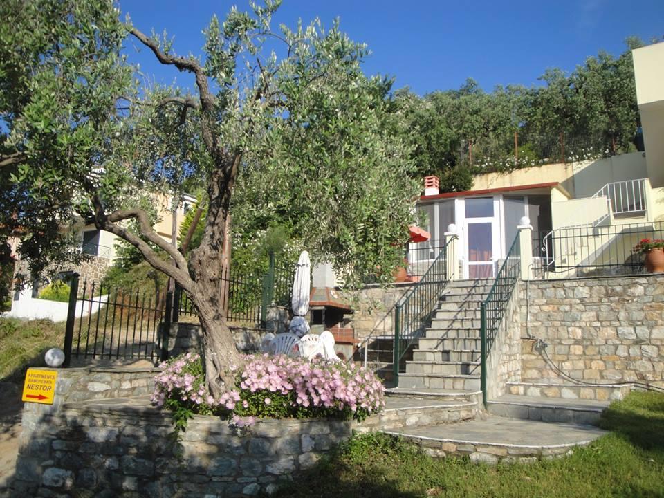 Nestor Apartments Chrysi Ammoudia ภายนอก รูปภาพ